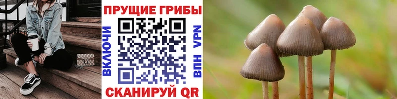 Галлюциногенные грибы прущие грибы  Сельцо 